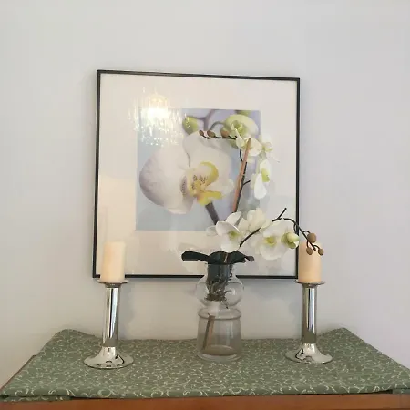 Apartment Studio Le Colisee Rue Verdi Nice